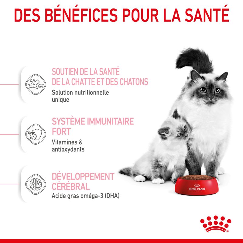 Royal Canin Cat Mother & Babycat Royal Canin Cat Mother & Babycat