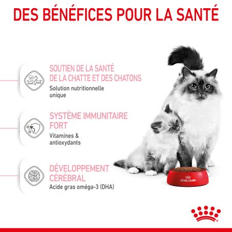 Royal Canin Cat Mother & Babycat Royal Canin Cat Mother & Babycat