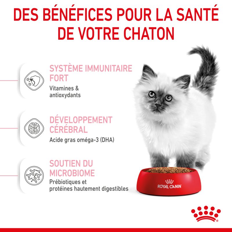 Royal Canin Cat Kitten Royal Canin Cat Kitten