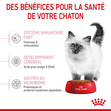 Royal Canin Cat Kitten Royal Canin Cat Kitten