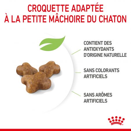 Royal Canin Cat Kitten Royal Canin Cat Kitten