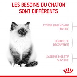 Royal Canin Cat Kitten