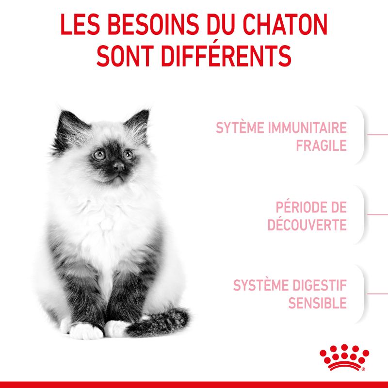 Royal Canin Cat Kitten Royal Canin Cat Kitten