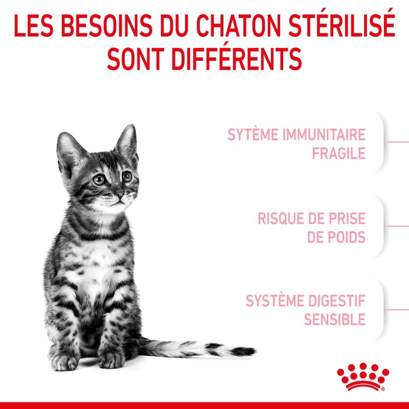 Royal Canin Kitten Sterilised pour chatons Royal Canin Kitten Sterilised pour chatons