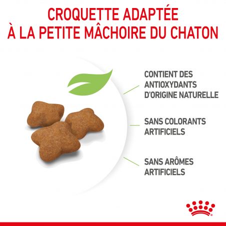 Royal Canin Kitten Sterilised pour chatons Royal Canin Kitten Sterilised pour chatons