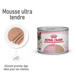 Royal Canin Cat Mother & Babycat Mousse 12 boîtes de 195 g