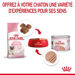 Royal Canin Cat Mother & Babycat Mousse 12 boîtes de 195 g