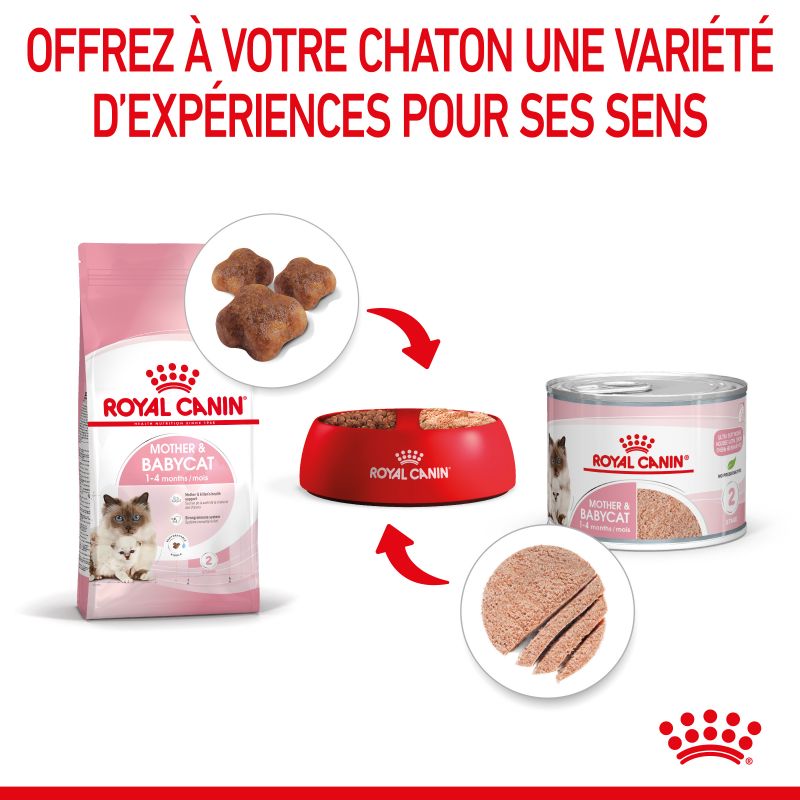 Royal Canin Cat Mother & Babycat Mousse 12 boîtes de 195 g Royal Canin Cat Mother & Babycat Mousse 12 boîtes de 195 g