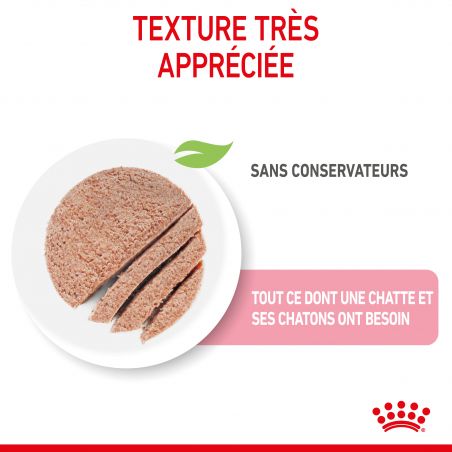 Royal Canin Cat Mother & Babycat Mousse 12 boîtes de 195 g Royal Canin Cat Mother & Babycat Mousse 12 boîtes de 195 g