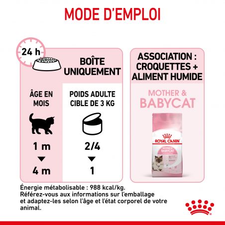 Royal Canin Cat Mother & Babycat Mousse 12 boîtes de 195 g Royal Canin Cat Mother & Babycat Mousse 12 boîtes de 195 g