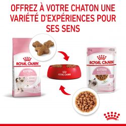 Royal Canin Cat Kitten émincé en sauce - 12 sachets de 85 g
