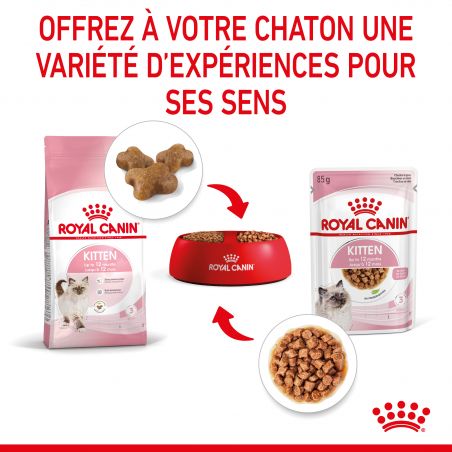 Royal Canin Cat Kitten émincé en sauce - 12 sachets de 85 g Royal Canin Cat Kitten émincé en sauce - 12 sachets de 85 g