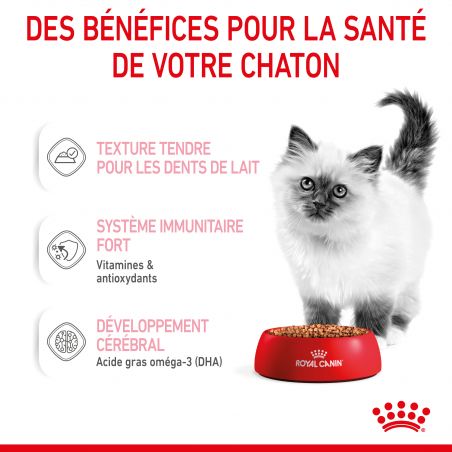 Royal Canin Cat Kitten émincé en sauce - 12 sachets de 85 g Royal Canin Cat Kitten émincé en sauce - 12 sachets de 85 g