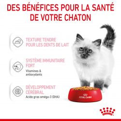Royal Canin Cat Kitten Bouchées en Gelée - 12 sachet de 85g