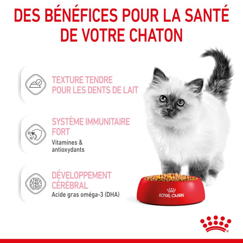 Royal Canin Cat Kitten Bouchées en Gelée - 12 sachet de 85g Royal Canin Cat Kitten Bouchées en Gelée - 12 sachet de 85g