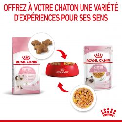 Royal Canin Cat Kitten Bouchées en Gelée - 12 sachet de 85g