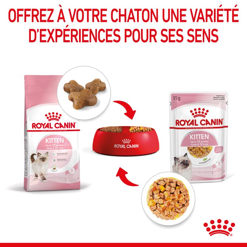 Royal Canin Cat Kitten Bouchées en Gelée - 12 sachet de 85g Royal Canin Cat Kitten Bouchées en Gelée - 12 sachet de 85g