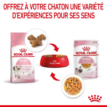 Royal Canin Cat Kitten Bouchées en Gelée - 12 sachet de 85g Royal Canin Cat Kitten Bouchées en Gelée - 12 sachet de 85g