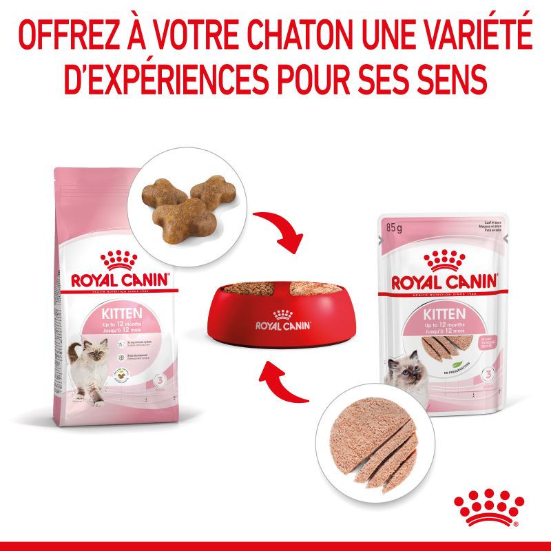 Royal Canin Cat Kitten Mousse sachet repas - 12 sachets de 85 g Royal Canin Cat Kitten Mousse sachet repas - 12 sachets de 85 g
