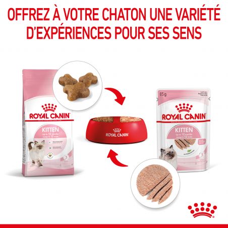Royal Canin Cat Kitten Mousse sachet repas - 12 sachets de 85 g Royal Canin Cat Kitten Mousse sachet repas - 12 sachets de 85 g