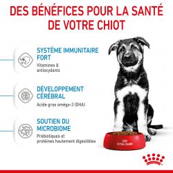 Royal Canin Dog Puppy Maxi