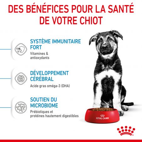 Royal Canin Dog Puppy Maxi Royal Canin Dog Puppy Maxi