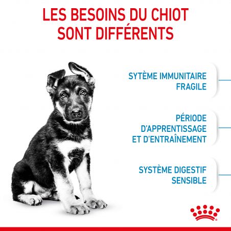 Royal Canin Dog Puppy Maxi Royal Canin Dog Puppy Maxi