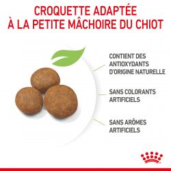Royal Canin Dog Puppy Maxi