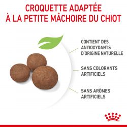 Royal Canin Dog Puppy Medium