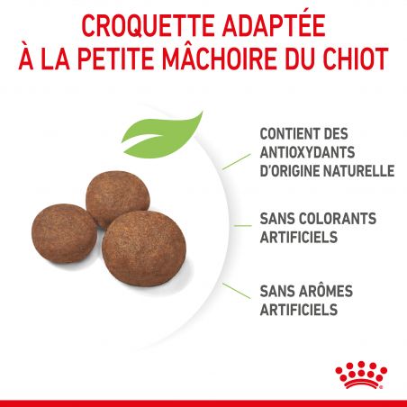 Royal Canin Dog Puppy Medium Royal Canin Dog Puppy Medium