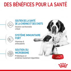 Royal Canin Dog Starter Mother & Babydog Giant Sac de 15 kg