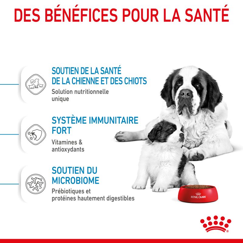 Royal Canin Dog Starter Mother & Babydog Giant Sac de 15 kg Royal Canin Dog Starter Mother & Babydog Giant Sac de 15 kg