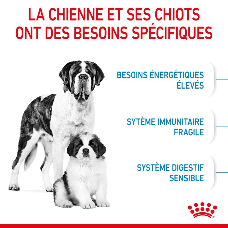 Royal Canin Dog Starter Mother & Babydog Giant Sac de 15 kg Royal Canin Dog Starter Mother & Babydog Giant Sac de 15 kg