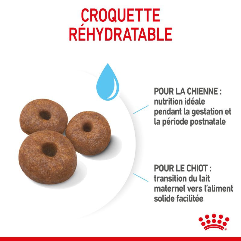Royal Canin Dog Starter Mother & Babydog Giant Sac de 15 kg Royal Canin Dog Starter Mother & Babydog Giant Sac de 15 kg