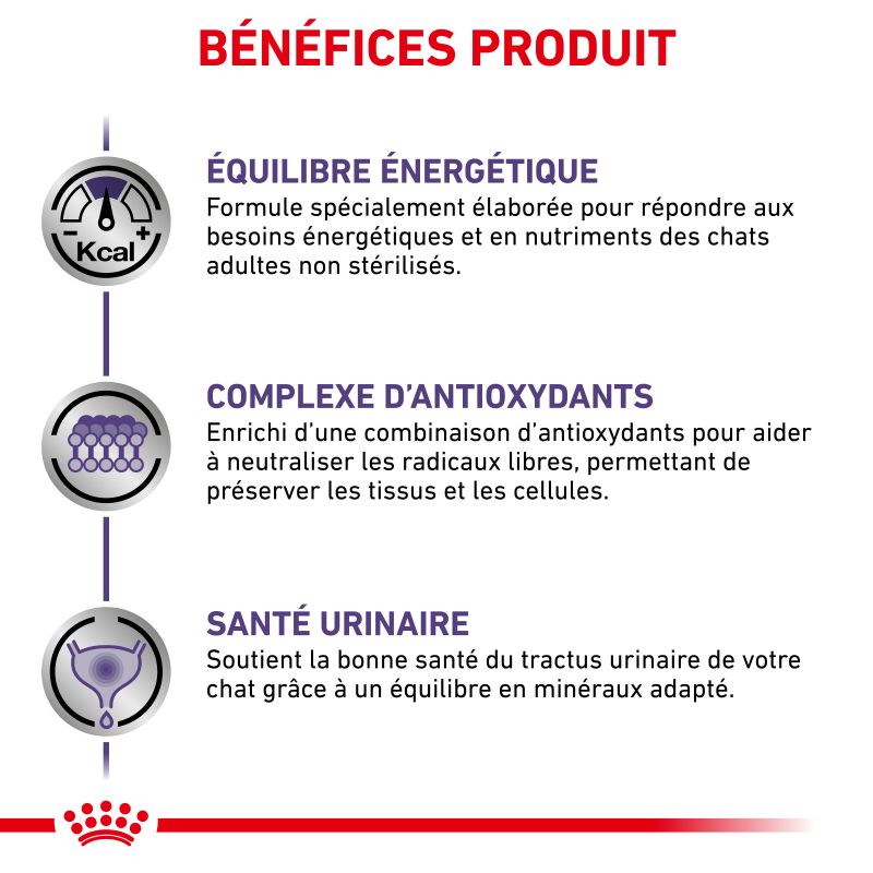 Royal Canin Vet Care Nutrition Cat Adult Royal Canin Vet Care Nutrition Cat Adult
