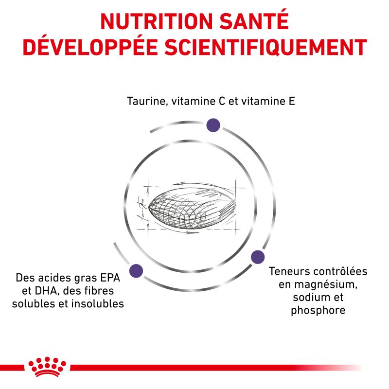 Royal Canin Vet Care Nutrition Cat Adult Royal Canin Vet Care Nutrition Cat Adult