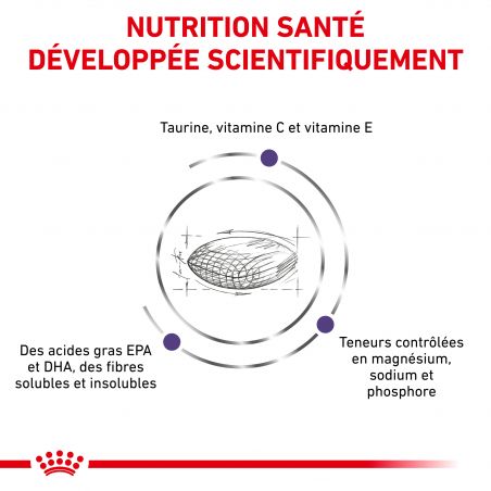 Royal Canin Vet Care Nutrition Cat Adult Royal Canin Vet Care Nutrition Cat Adult