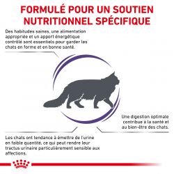 Royal Canin Vet Care Nutrition Cat Adult