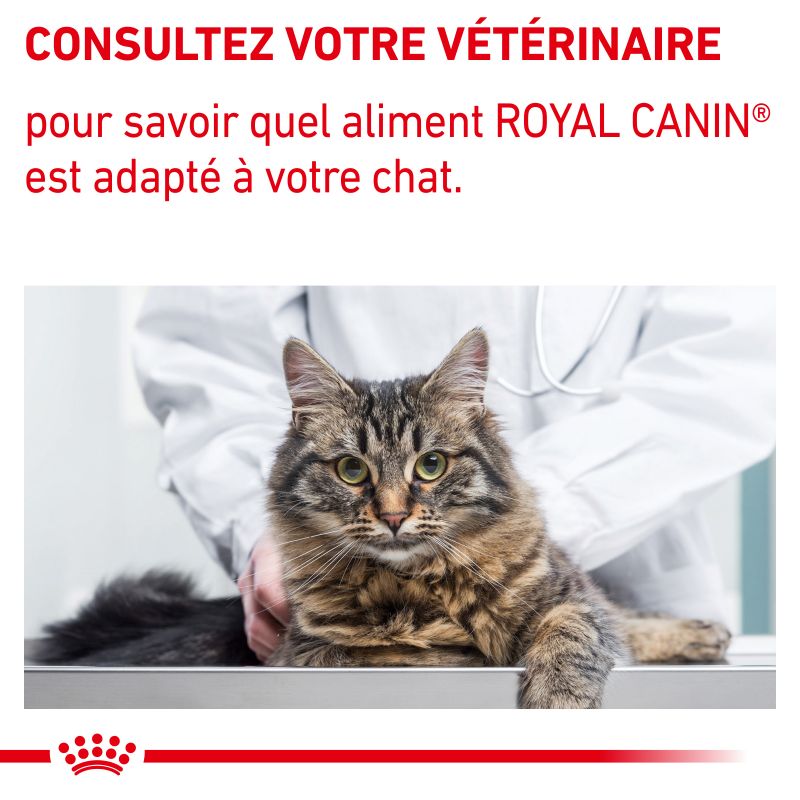 Royal Canin Veterinary Diet Cat Calm Royal Canin Veterinary Diet Cat Calm