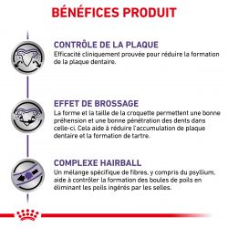 Royal Canin Veterinary Diet Cat Dental S/O 1,5 kg