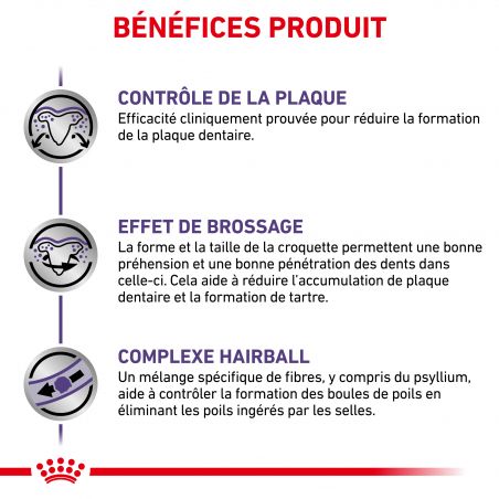 Royal Canin Veterinary Diet Cat Dental S/O 1,5 kg Royal Canin Veterinary Diet Cat Dental S/O 1,5 kg