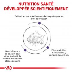 Royal Canin Veterinary Diet Cat Dental S/O 1,5 kg