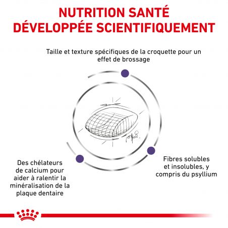 Royal Canin Veterinary Diet Cat Dental S/O 1,5 kg Royal Canin Veterinary Diet Cat Dental S/O 1,5 kg