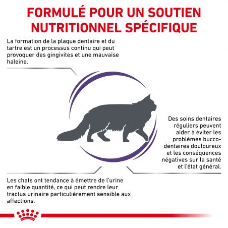 Royal Canin Veterinary Diet Cat Dental S/O 1,5 kg Royal Canin Veterinary Diet Cat Dental S/O 1,5 kg