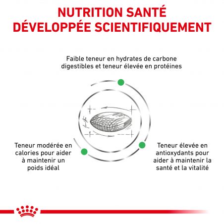 Royal Canin Veterinary Diet Cat Diabetic Royal Canin Veterinary Diet Cat Diabetic