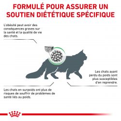 Royal Canin Veterinary Diet Cat Satiety
