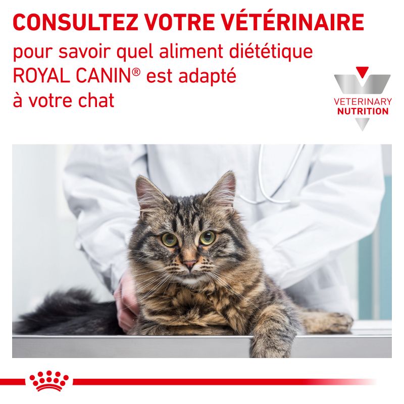 Royal Canin Veterinary Diet Cat Satiety Weight Management - 12 sachets de 85 g Royal Canin Veterinary Diet Cat Satiety Weight Management - 12 sachets de 85 g