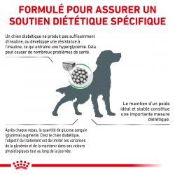 Royal Canin Veterinary Diet Dog Diabetic