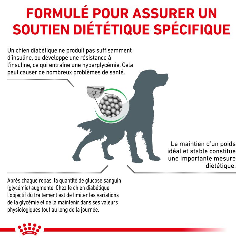 Royal Canin Veterinary Diet Dog Diabetic Royal Canin Veterinary Diet Dog Diabetic