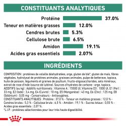 Royal Canin Veterinary Diet Dog Diabetic